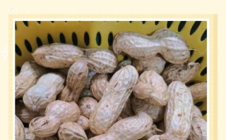 孕期吃花生对胎儿发育真的有益吗？有哪些潜在风险需要注意？