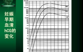 孕期内hcg变化曲线有何规律？异常波动需警惕哪些问题？