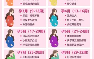 怀孕期间女性身体会发生哪些奇妙又复杂的变化？