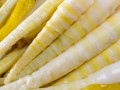 孕期食用泡椒笋尖会刺激肠胃吗？对胎儿发育有潜在影响吗？