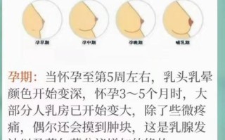 孕期乳房会持续增大吗？
