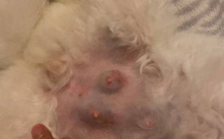 怀孕期间乳房出现分泌物，是正常生理反应还是异常信号？