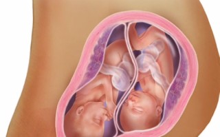 孕期双胞胎肚子变化图，不同孕周肚子大小差异有多大？