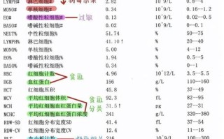 孕期血常规检查究竟是在监测哪些关键指标，对母婴健康又有何重要意义呢？