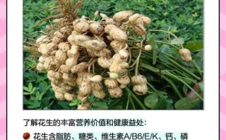 儿童吃花生有哪些具体好处？不同年龄段食用需注意什么？