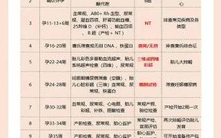 怀孕期间必须做的检查有哪些？不同孕周的关键检查项目有哪些？