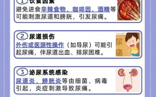 儿童小便痛是哪些疾病信号？家长该如何应对与处理？