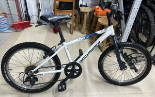 迪卡侬儿童自行车图片价格多少？