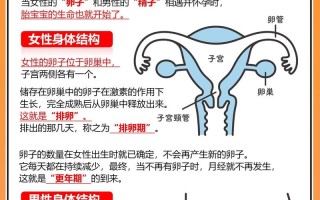 怀孕期间做DNA检测有哪些注意事项和流程？