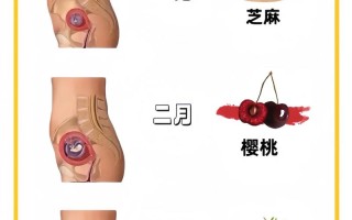 孕期爱吃甜食是男孩吗