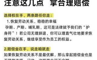 怀孕期间单位能否辞退？孕期女职工的就业权益该如何保障？