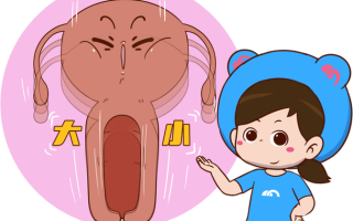 儿童外阴正常图片对照，这些特征需注意哪些异常信号？