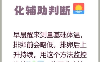 女人怀孕期具体指哪段时间？从末次月经第一天算起还是排卵日算？整个孕期分为哪几个阶段？