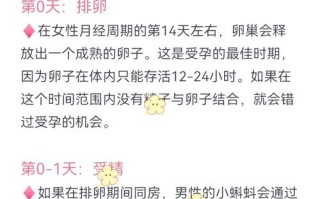 孕期同房何时安全？