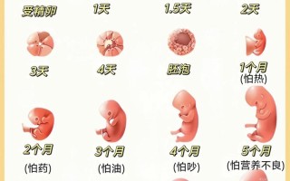 孕期没胃口会影响胎儿正常发育吗？饮食调整要注意哪些要点？