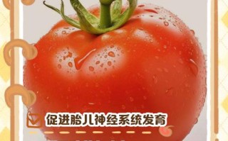孕期吃西红柿真能让胎儿皮肤变白吗？科学依据是什么？
