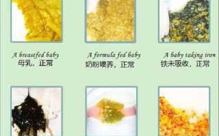 新生儿新生儿吸入粪便竟可存活？其背后医学奇迹与风险真相究竟如何？
