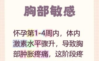 孕期乳房胀痛一般什么时候开始？会持续多久？该如何缓解不适？