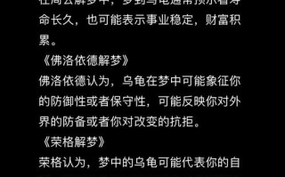 怀孕期间梦见乌龟，是胎儿的健康暗示还是有其他特殊寓意？