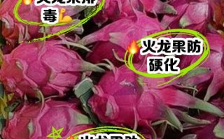 孕期血糖高能吃火龙果吗？