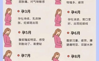 怀孕期间心跳快是正常现象吗？需要警惕哪些潜在风险？