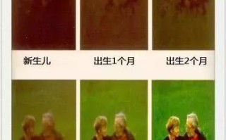 新生儿为何天生偏爱亮光？这种视觉偏好暗藏哪些发育密码？