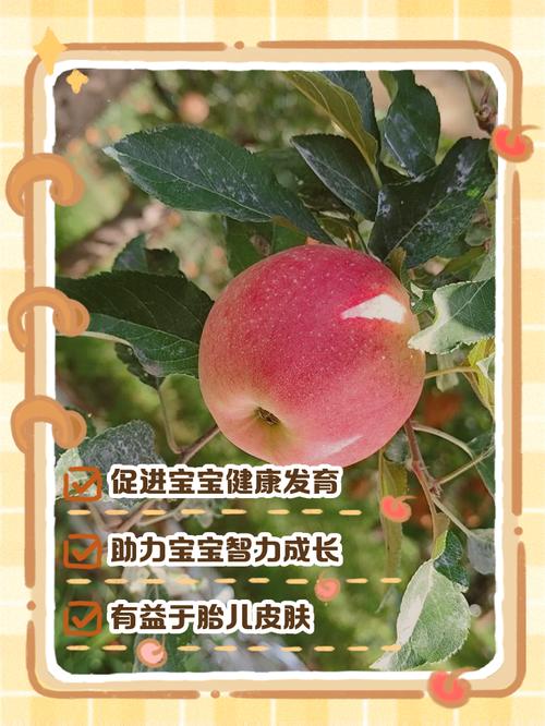 孕期吃苹果，胎儿能得哪些好处？-第2张图片-中州医学会