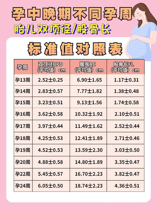 孕最后一个月胎儿到底能长多少？-第3张图片-中州医学会