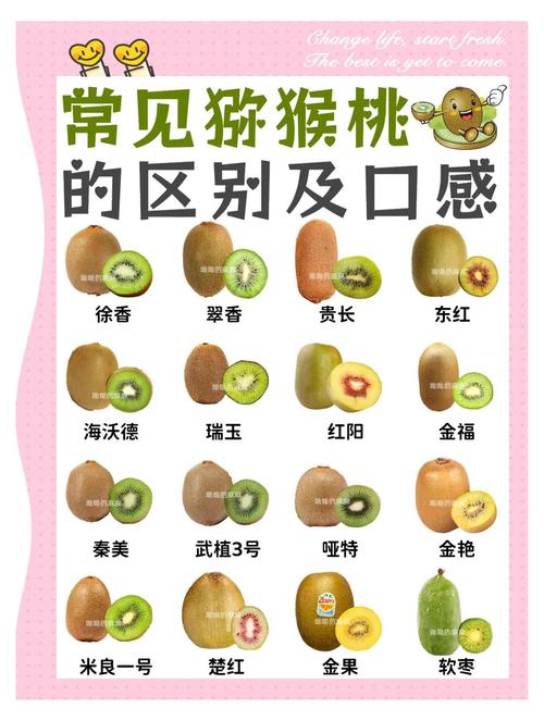 孕期吃猕猴桃，对宝宝和妈妈有何益处？-第2张图片-郑州医学网