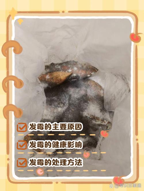 孕期霉菌感染会祸及胎儿吗？-第2张图片-中州医学会