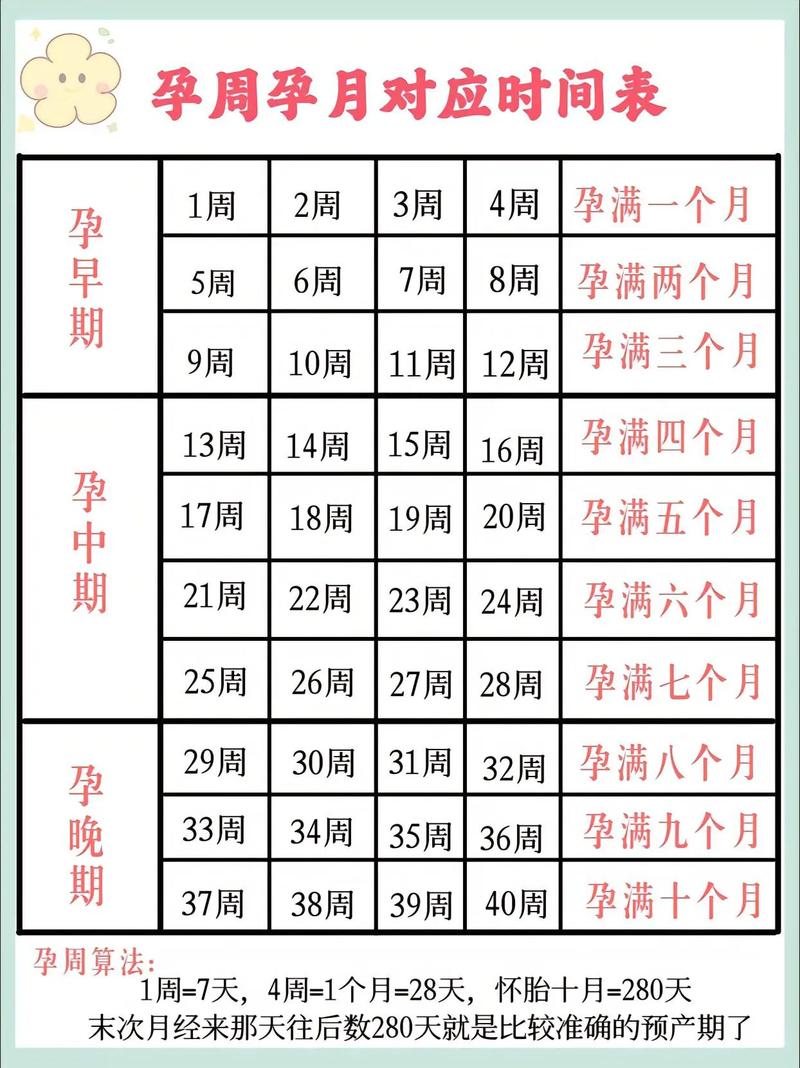女人受孕期是哪几天?-第2张图片-中州医学会 女人受孕期是哪几天?-第2张图片-中州医学会
