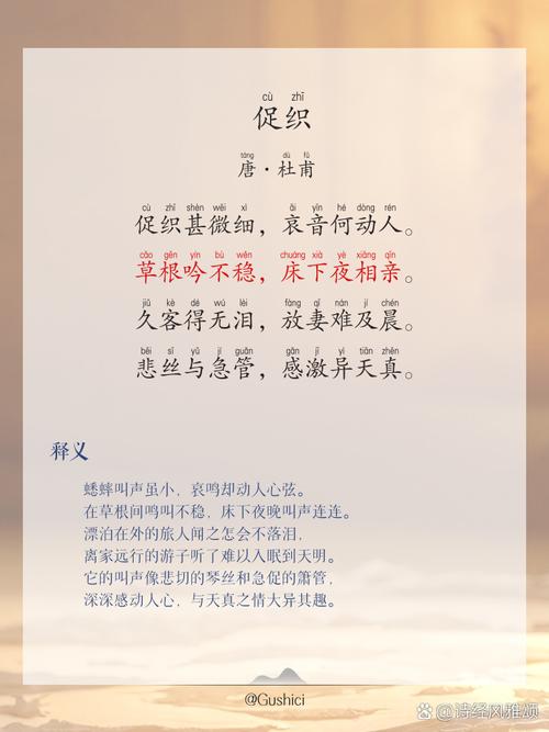 挑促织的挑字何解？-第3张图片-中州医学会