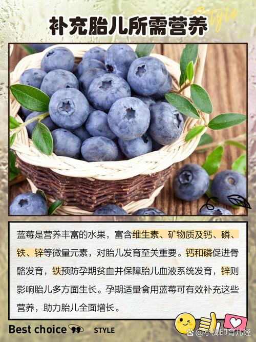 孕期吃蓝莓，胎儿受益有哪些？-第1张图片-中州医学会