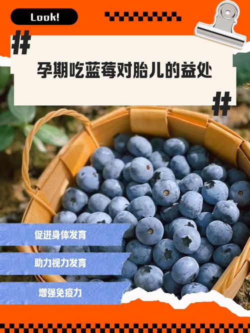 孕期吃蓝莓，胎儿受益有哪些？-第3张图片-中州医学会
