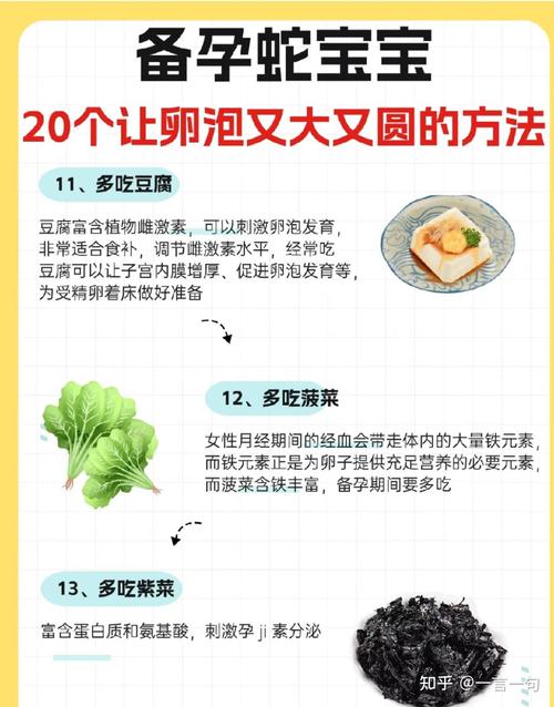 备孕吃什么能促排卵？-第1张图片-中州医学会