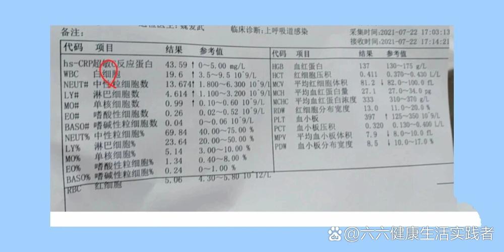 新生儿血项高是什么原因引起的-第1张图片-中州医学会 新生儿血项高是什么原因引起的-第1张图片-中州医学会