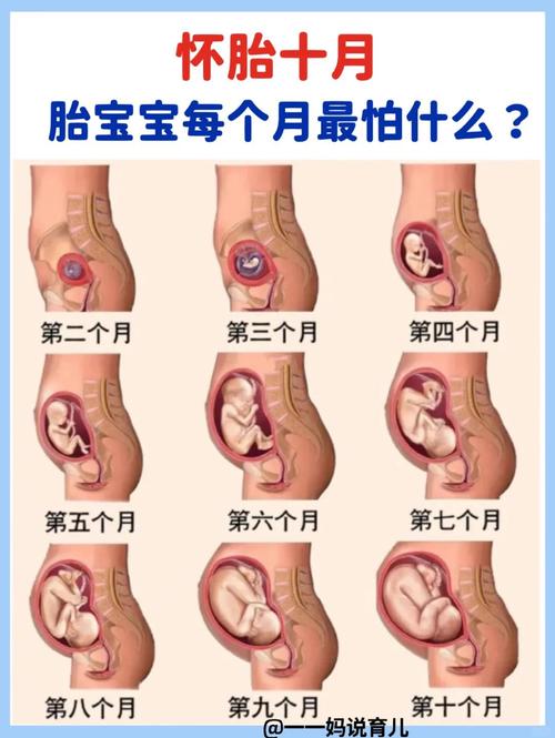 自闭症胎儿在孕期有什么表现-第2张图片-中州医学会 自闭症胎儿在孕期有什么表现-第2张图片-中州医学会