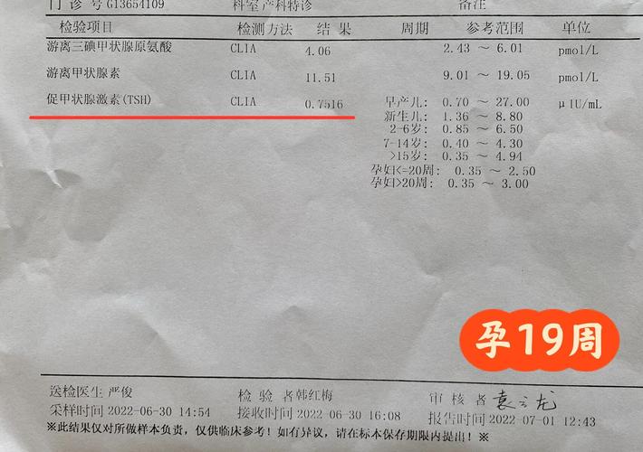 孕期TSH5.4未服药，对胎儿有影响吗？-第1张图片-中州医学会
