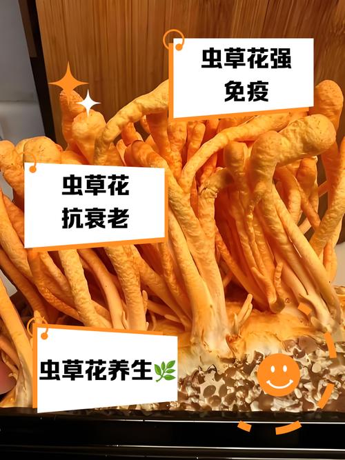 儿童为何不能吃虫草花煲汤？-第2张图片-中州医学会