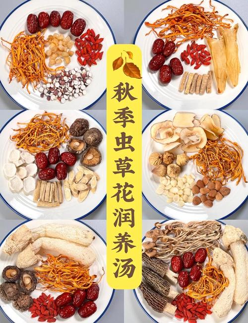 儿童为何不能吃虫草花煲汤？-第1张图片-中州医学会