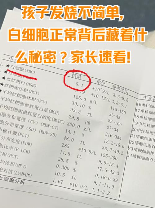 儿童发烧白细胞低，是病毒感染还是免疫问题？-第2张图片-中州医学会