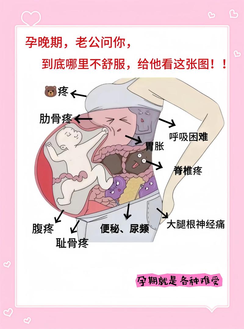 怀孕期间全身酸痛怎么回事-第2张图片-中州医学会 怀孕期间全身酸痛怎么回事-第2张图片-中州医学会