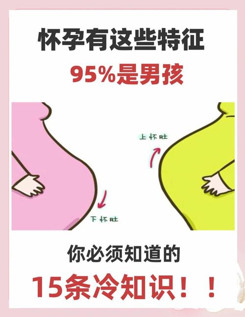 孕吐反应大,能看出胎儿性别吗?-第1张图片-中州医学会 孕吐反应大,能看出胎儿性别吗?-第1张图片-中州医学会