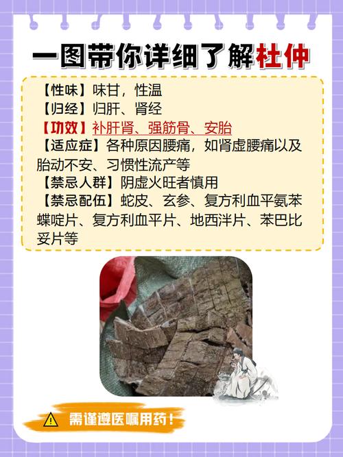 备孕期间能用中药调理吗?-第1张图片-中州医学会 备孕期间能用中药调理吗?-第1张图片-中州医学会