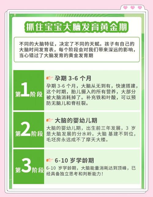 孕期宝宝大脑发育黄金期，具体是什么时候？-第3张图片-中州医学会