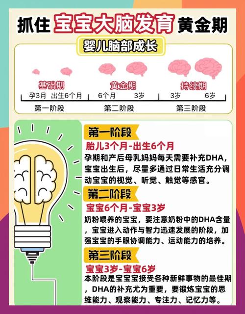 孕期宝宝大脑发育黄金期,具体是什么时候?-第1张图片-中州医学会 孕期宝宝大脑发育黄金期,具体是什么时候?-第1张图片-中州医学会