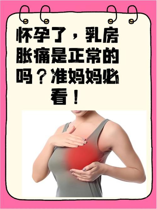 孕期乳房会持续增大吗?-第2张图片-中州医学会 孕期乳房会持续增大吗?-第2张图片-中州医学会