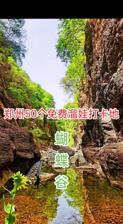 郑州亲子游必打卡，儿童乐园去哪儿玩？-第3张图片-中州医学会