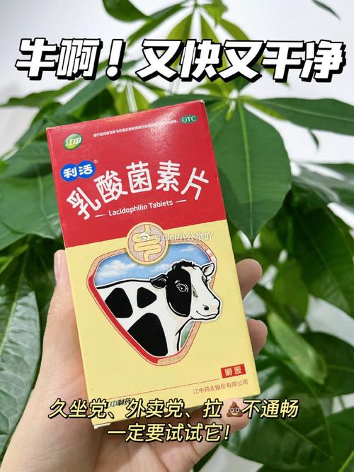 儿童便秘选哪种益生菌最有效？-第1张图片-中州医学会