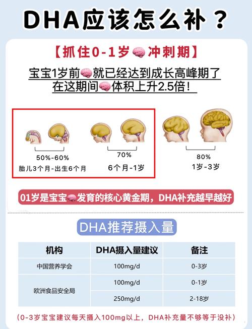 新生儿DHA何时开始补充？-第1张图片-中州医学会
